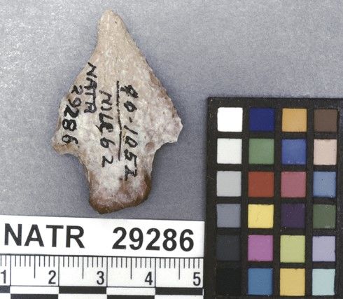 NATR   29286 -- Wade projectile point