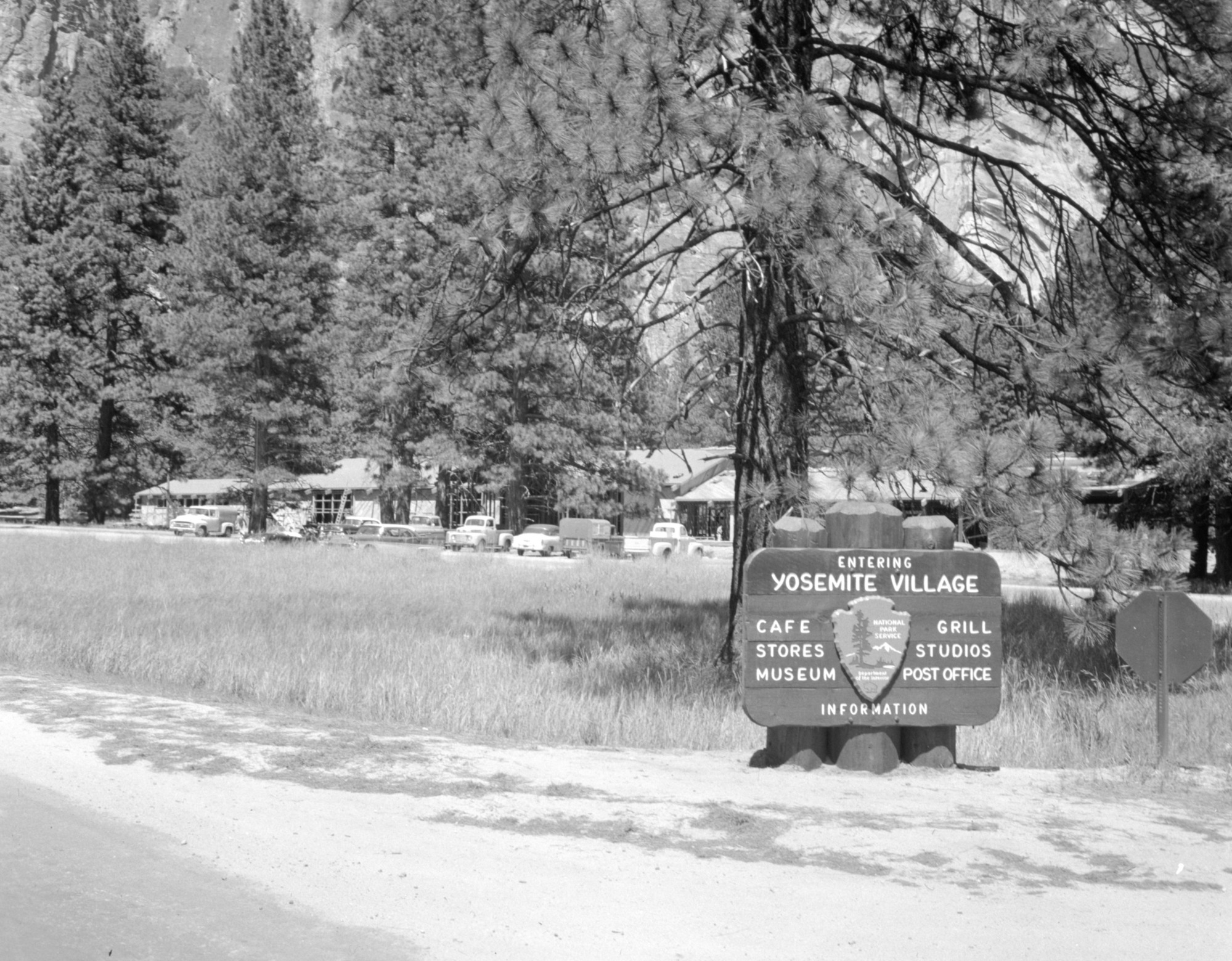 Y. P. & C. Co.'s new store and restaurant being constructed in Yosemite Village.