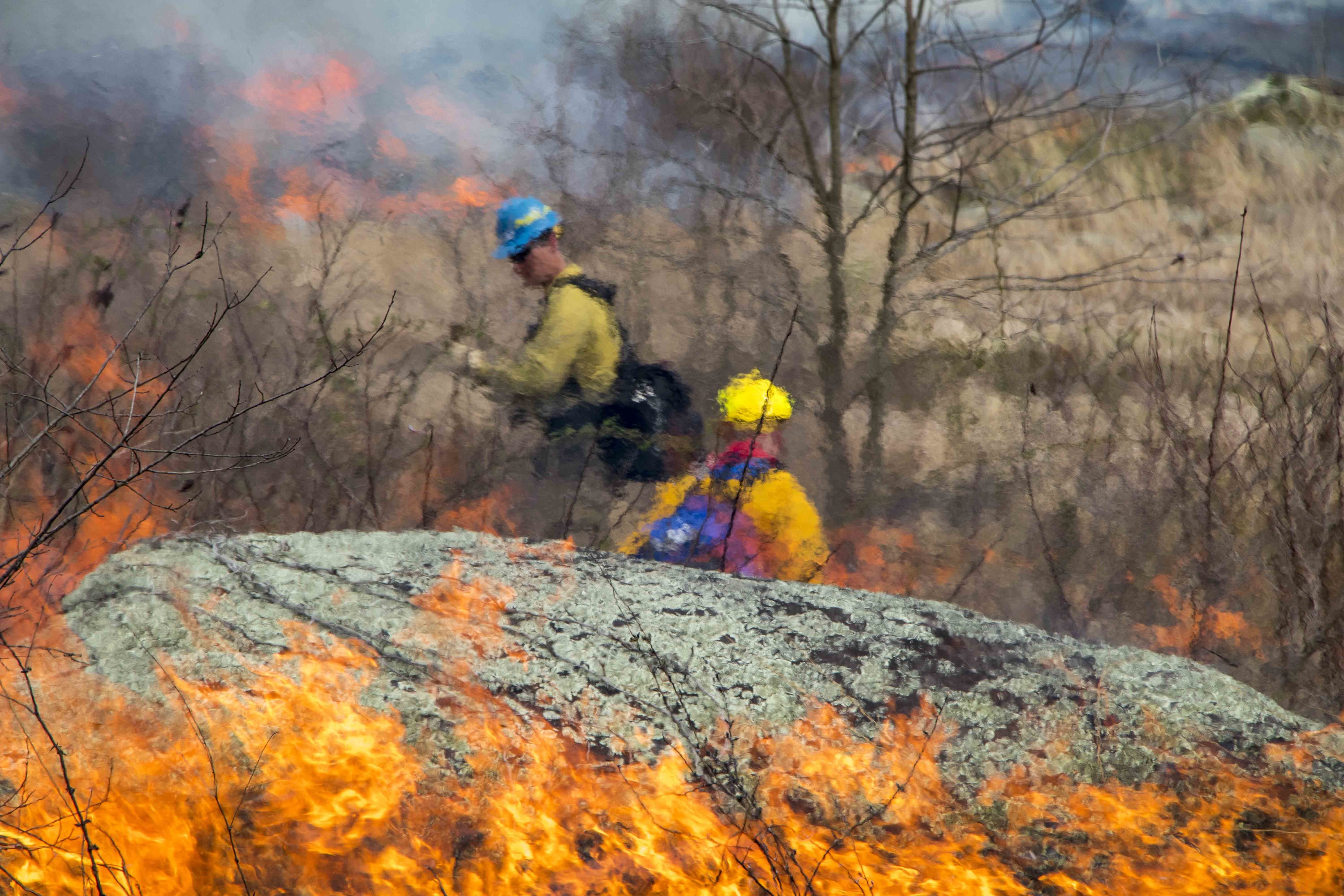 Two fire fighters can been seen through the heat of the fire as they monitor the prescribed fire. There is fire in front of a large boulder and the fire fighters are behind the boulder.