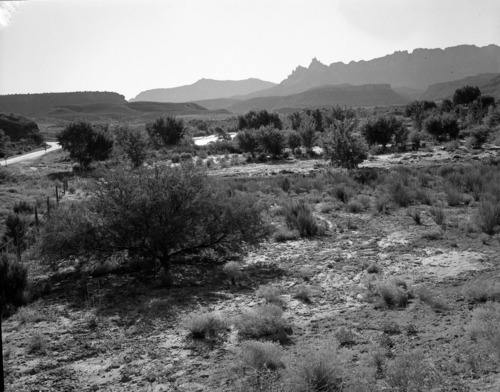 Habitat record- Virgin River valley.