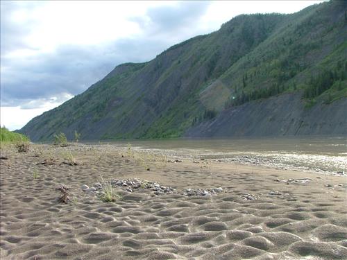 17 Yukon-Charley Rivers National Preserve Peregrine Falcon Survey July 2006