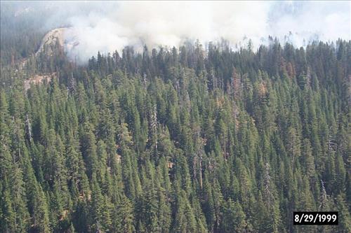 Eleanor Wildland Fire, August-September 1999, Yosemite National Park