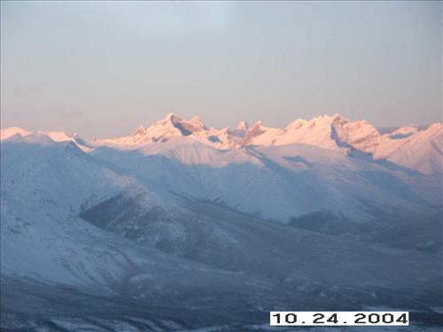 7 Gates of the Arctic National Park and Preserve Koyukuk Moose Survey 2004