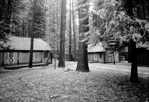 Exterior of cabins involved in assault case.