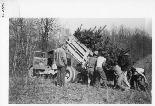 CCC in  Cuyahoga Valley National Park- Tree Planting