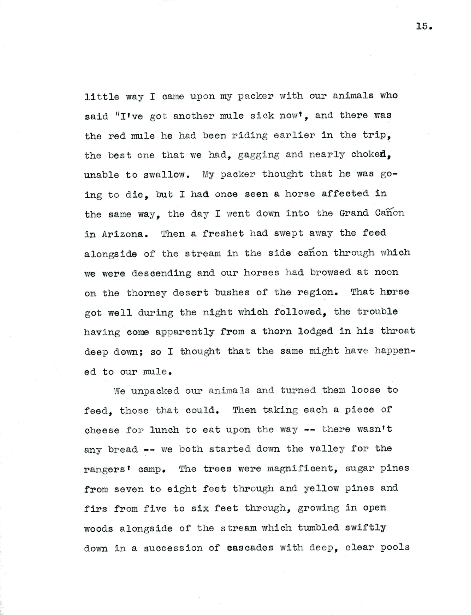 Letter, Dorr to Ogden, November 7, 1904 p.15(copy)