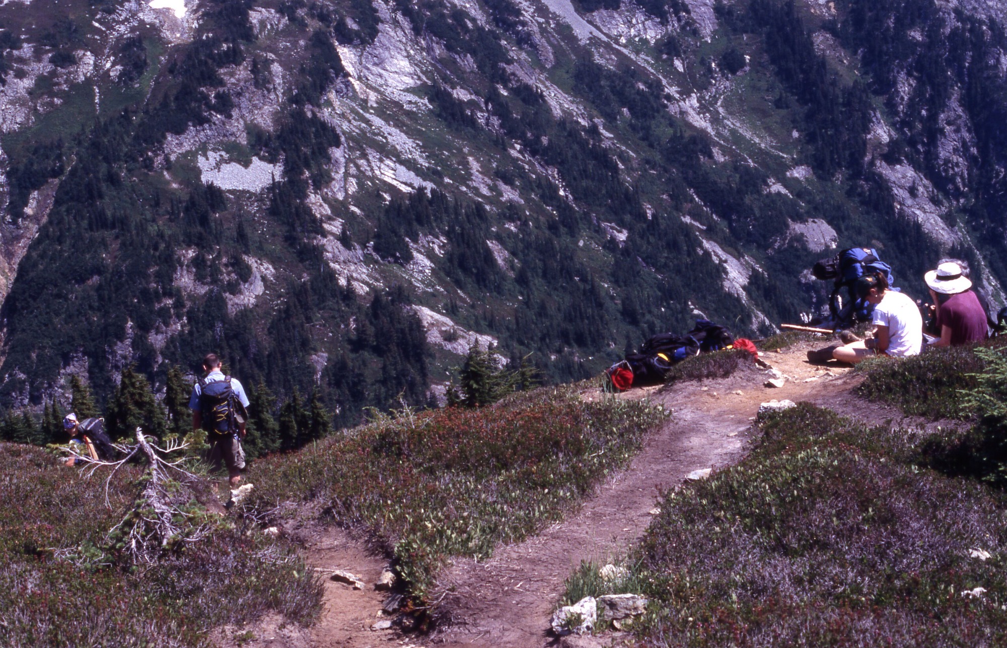 Two groups of hikers on separate trails cutting through a meadow of wildflowers and grasses along the side of a hill. The group to the left is traveling downhill and the group to the right is resting on a bald patch. In the distance are forested mountainsides.