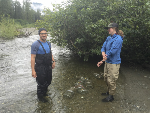 Two scientists stand in shallow water in front of a large green shrub. Several small research traps sit in the water between them.