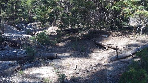 Rehabilitate SF Baker Creek and North Fork Big Wash Trail Systems
