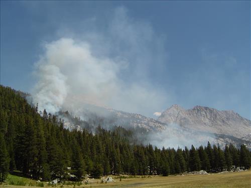 McClure wildfire used for resource benefit, Sequoia and Kings Canyon National Parks, summer 2004