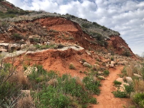 An uphill section of the Turkey Creek Trail. 