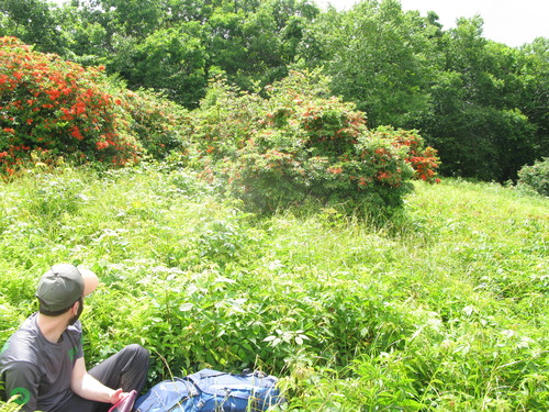 GRSM Accuracy Assessment. Plot Code: GRSM_AA_0873_5