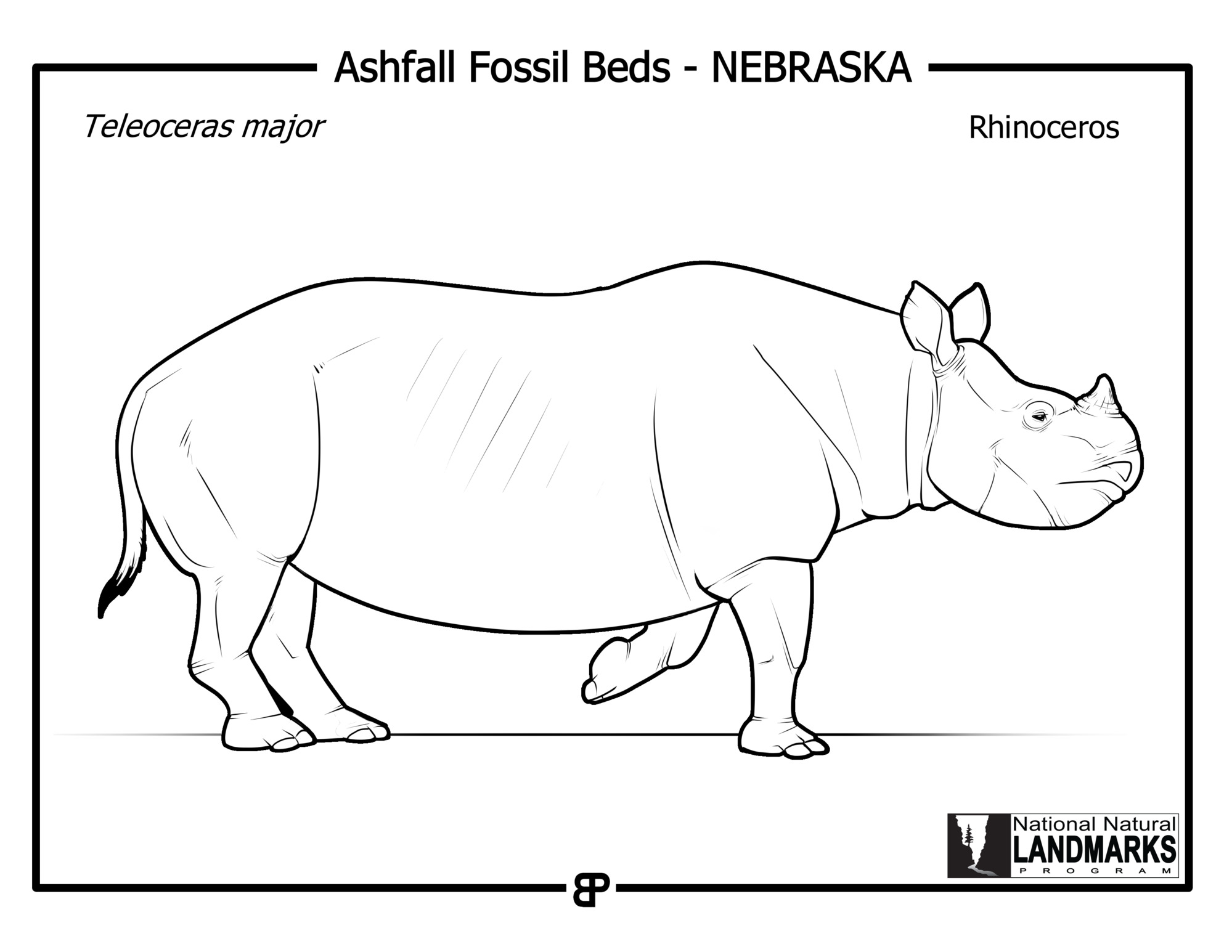 Black and white line drawing of ancient rhino.