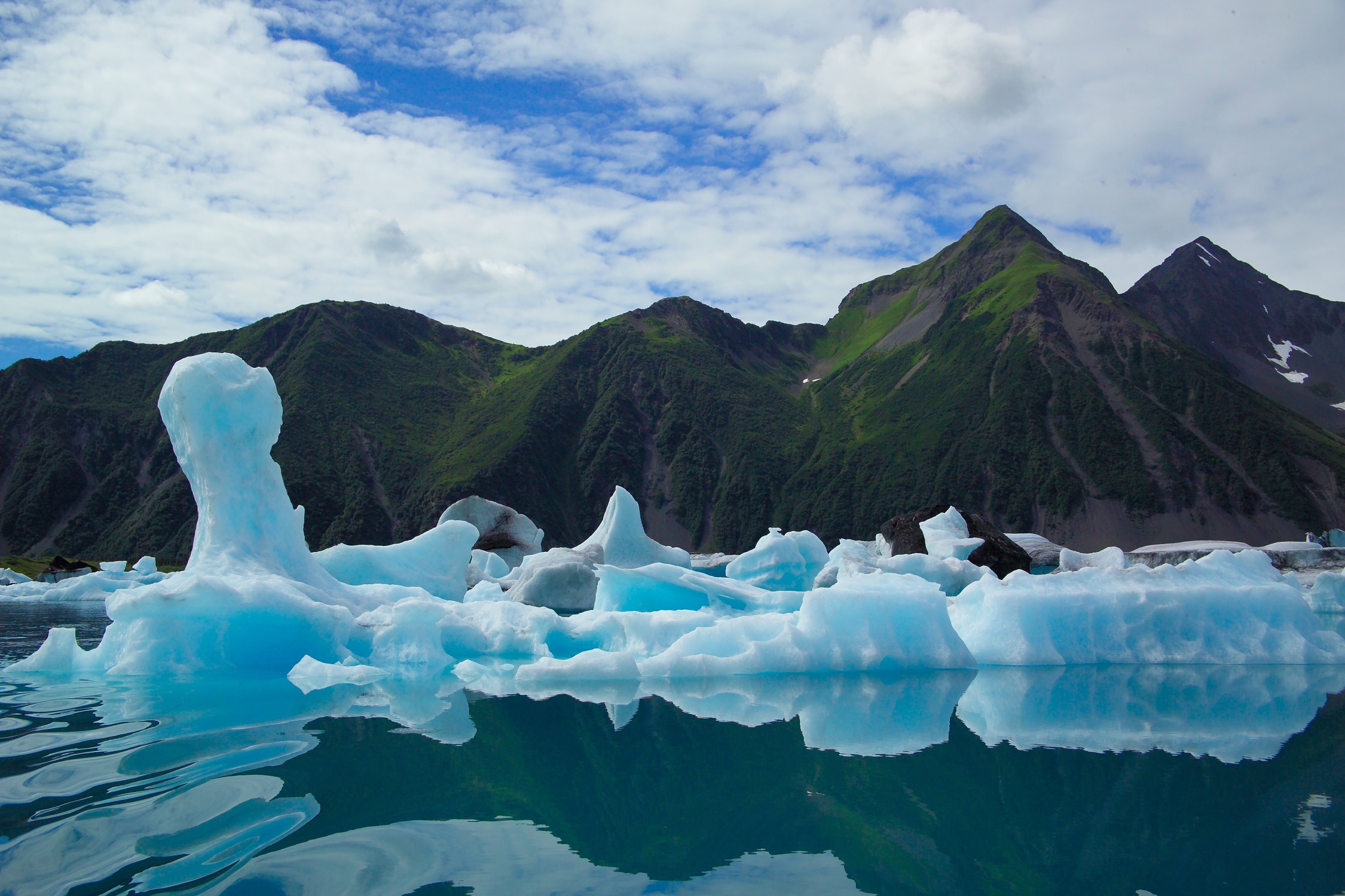 several blue icebergs float in a bay with grassy pointed mountains in the background