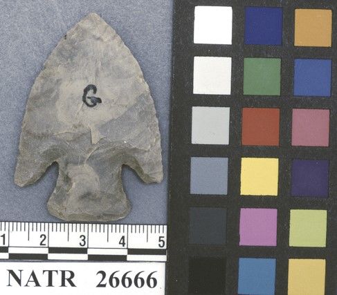 NATR   26666 -- Kirk Corner Notched Cluster projectile point