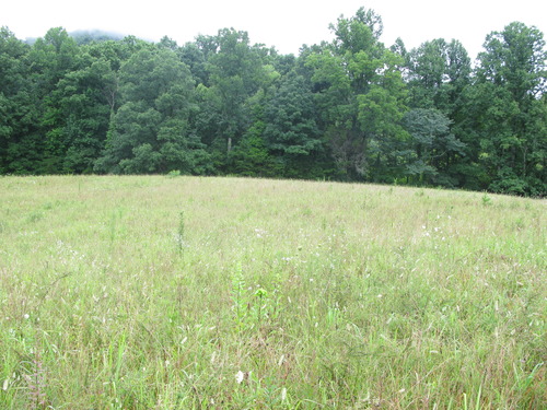 Plot Code: GRSM_AA_0606_2