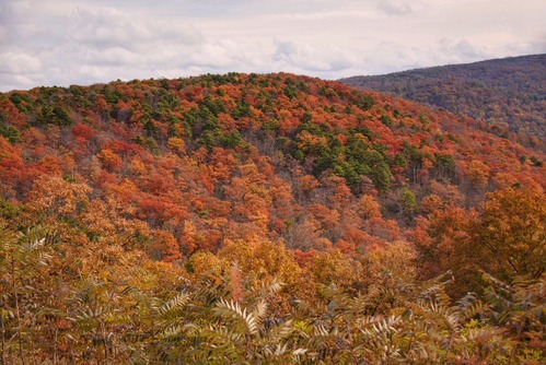 A fall mountain range