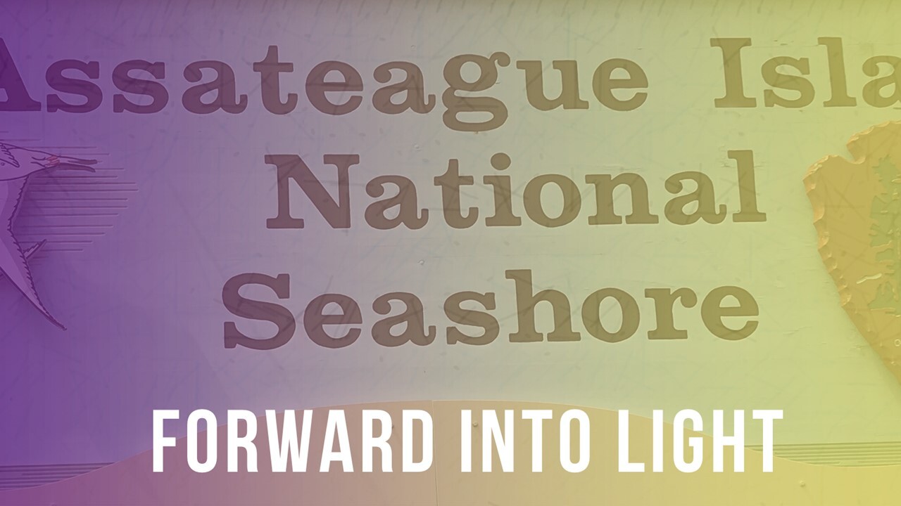 Photo of a sign for Assateague Island National Seashore with an NPS arrowhead filtered to appear purple and yellow with text reading "Forward Into Light"