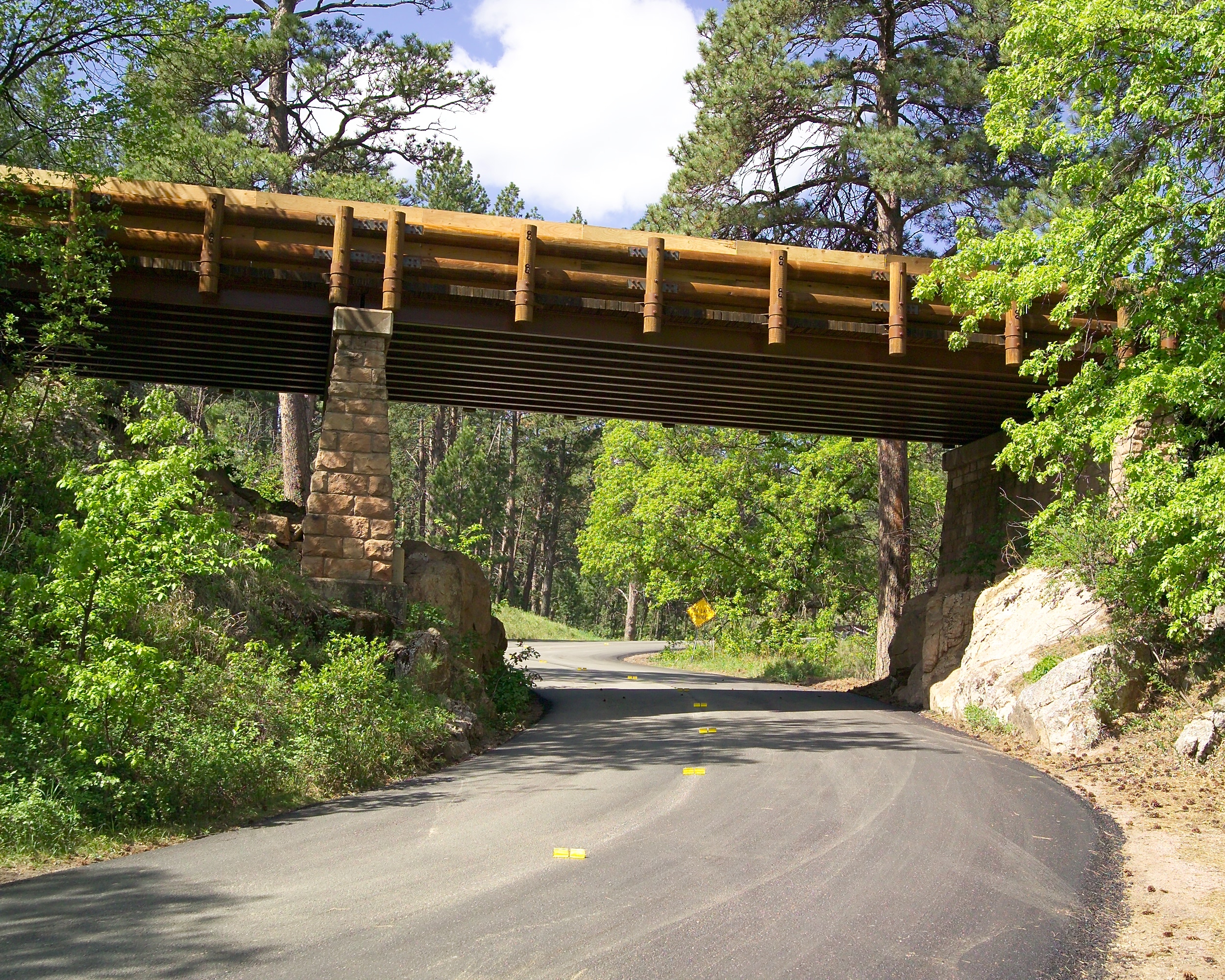 a bridge passing over a paved forest road
