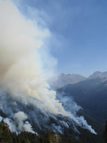 Park helicopter performs aerial ignition and reconnaissance on Highbridge Prescribed Fire, Sequoia and Kings Canyon National Parks, October 2005