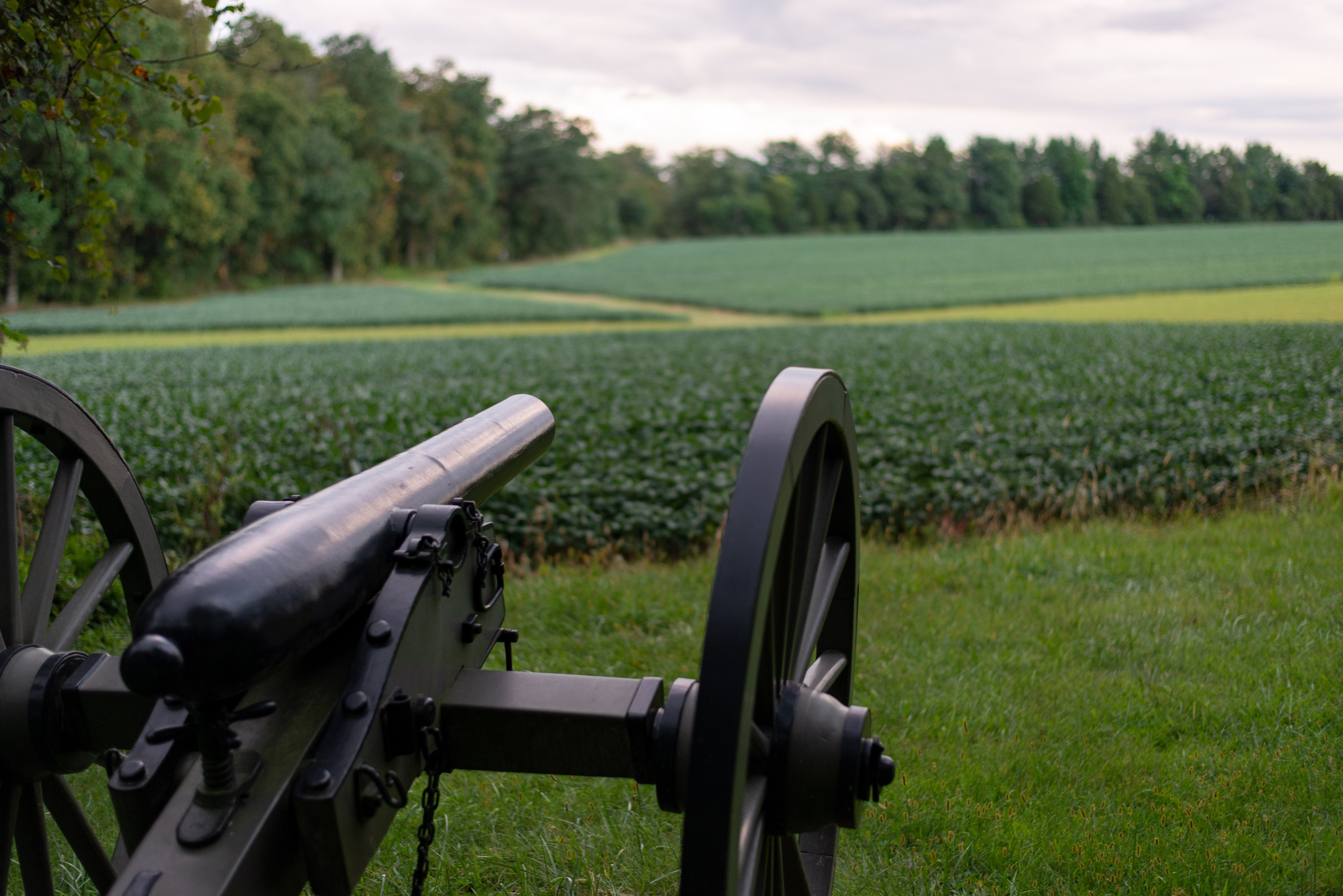 A black metal cannon pointed to a agricultural field.