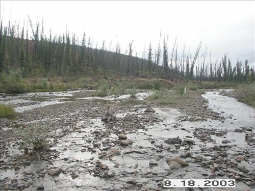 Hosford Creek Water Quality Testing, Yukon-Charley Rivers, 2003