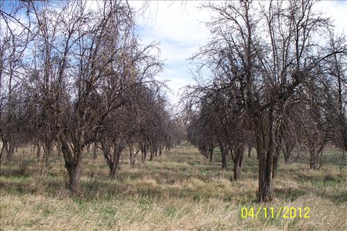 Various photos of facilities