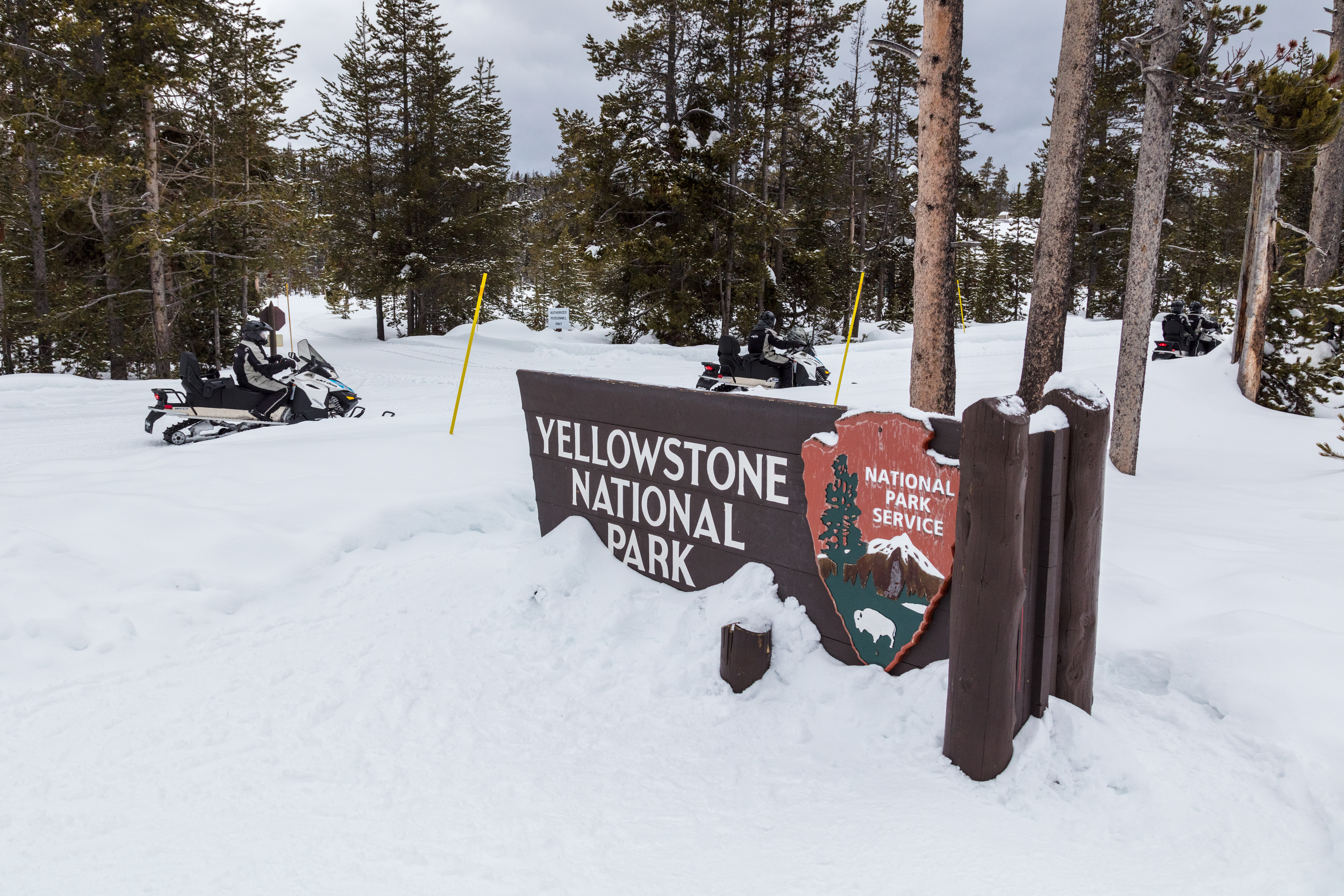 Snowmobilers riding past a yellowstone national park sign.