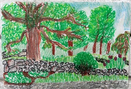 A drawing of a stone wall with several trees behind it.
