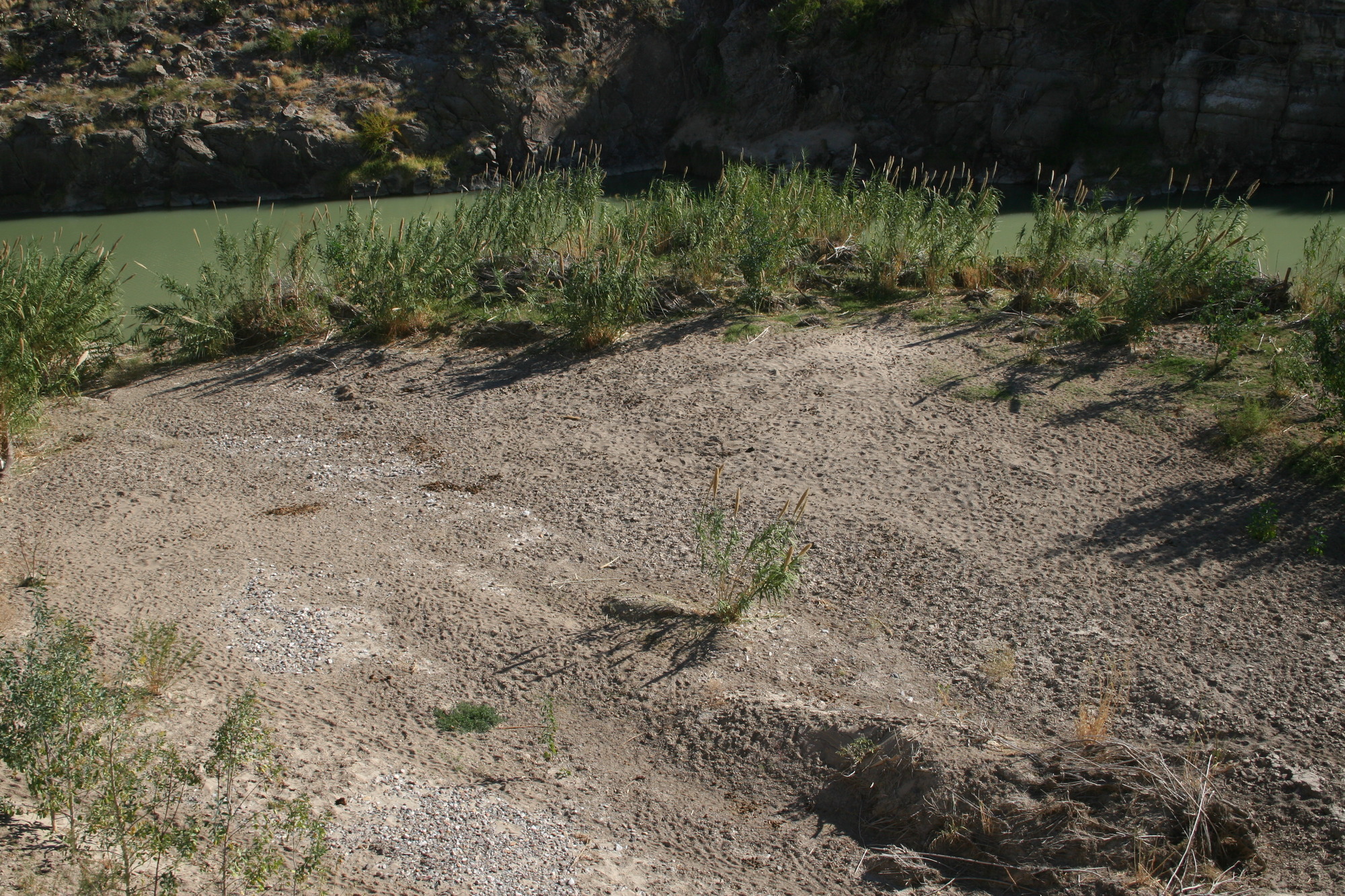 Photo of the Rio Grande