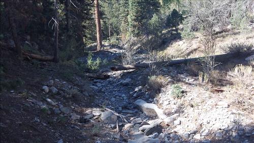Rehabilitate SF Baker Creek and North Fork Big Wash Trail Systems