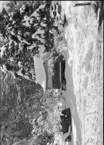 Yosemite Native American Village. c. 1915-1925. Present site of Lewis Memorial Hospital.