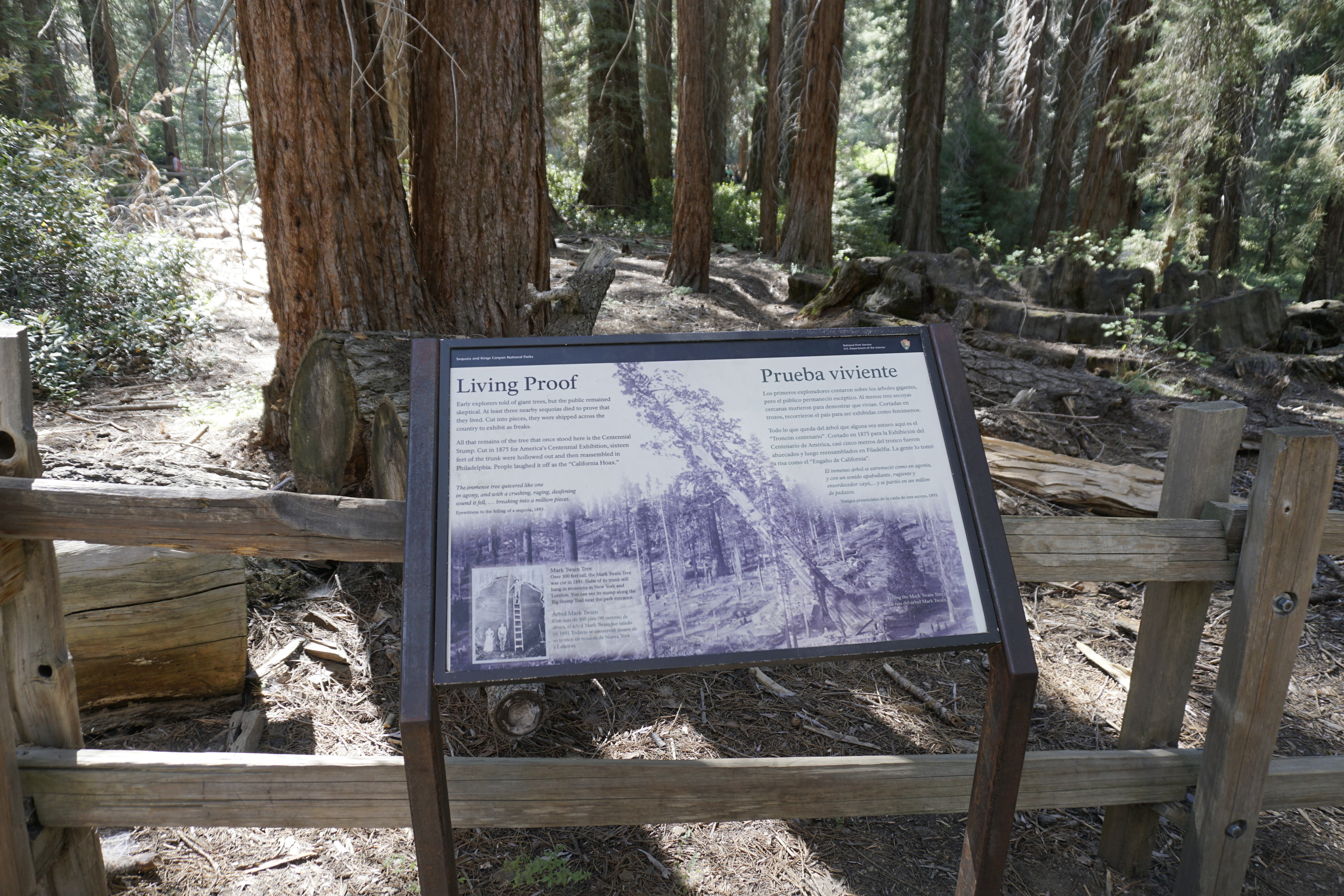 A metal panel sign sits in a metal frame. Behind it is a wooden log fence and several trees. 