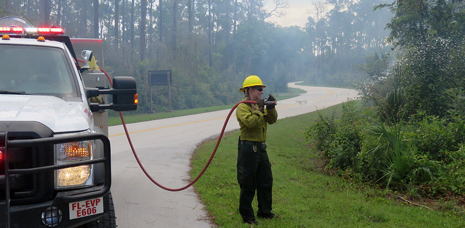 Firefighter standing by a fire engine holding a hose pointed towards roadside vegetation.