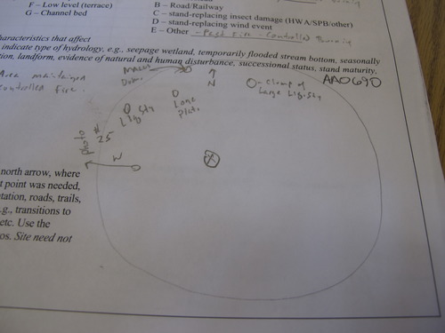 GRSM Accuracy Assessment. Plot Code: GRSM_AA_0690_7