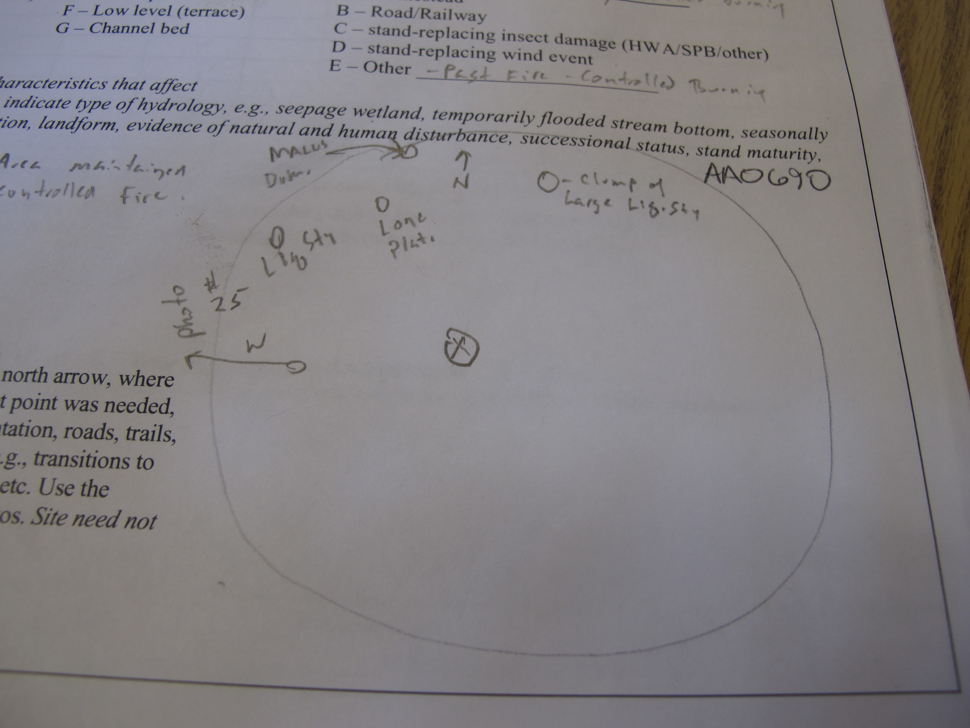 GRSM Accuracy Assessment. Plot Code: GRSM_AA_0690_7