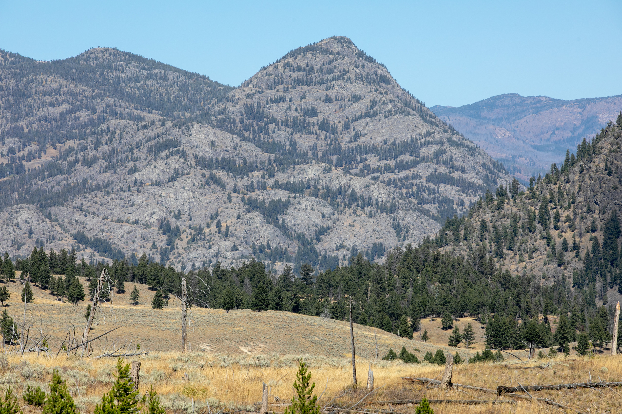 Looking across rolling grassy hills to a rocky mountain that is conical in shape with some trees on it.