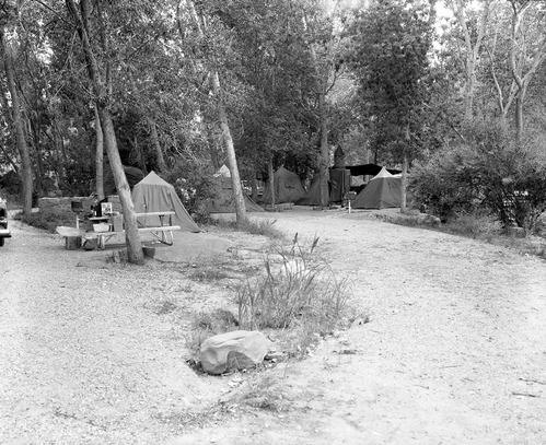 Visitor use, South Campground, Labor Day northern part of campground, all sites taken.