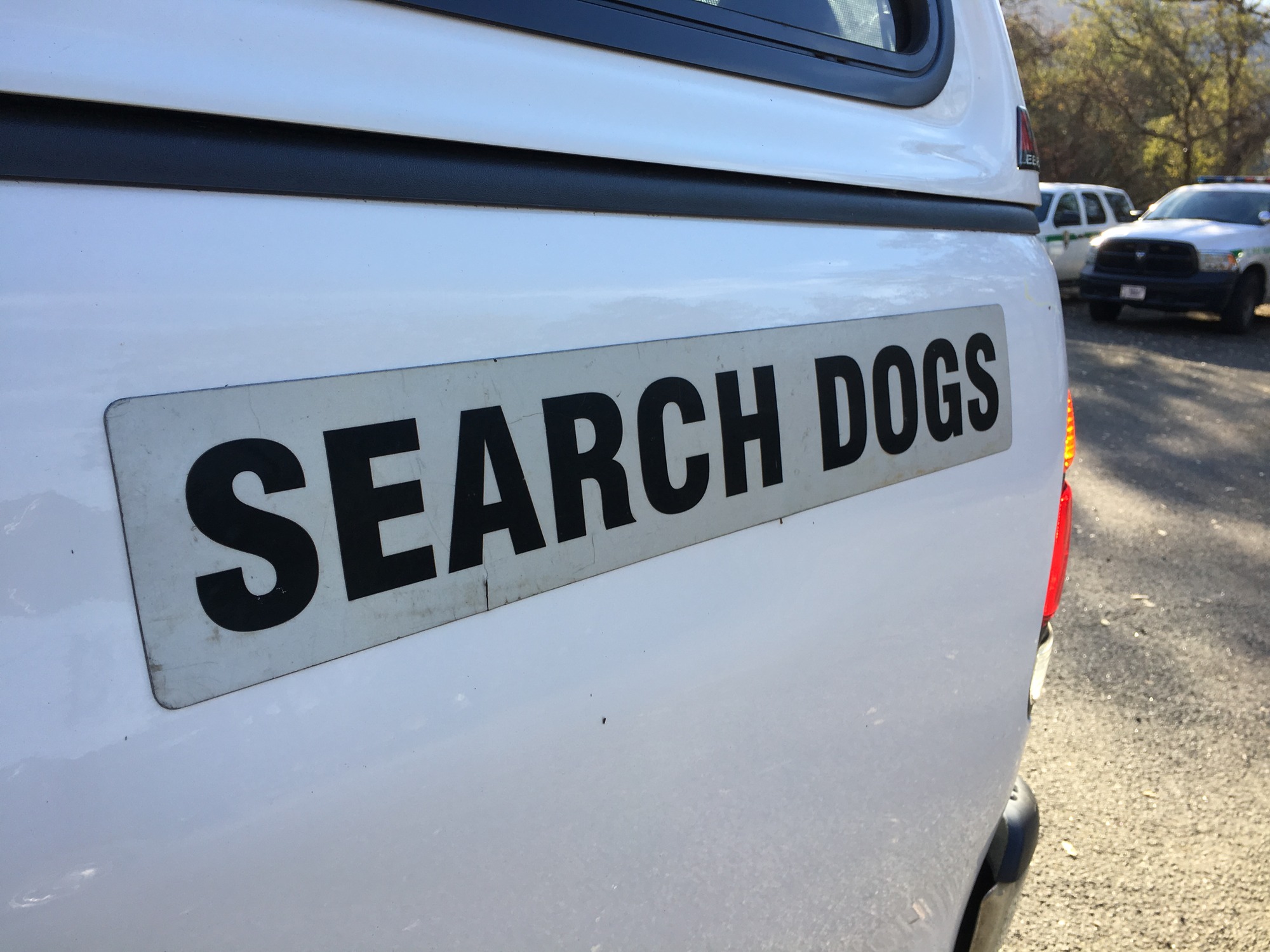 A magnetic sign on a vehicle says, "search dogs." 