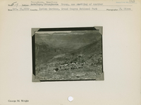 hfca_1607_iva_013_10_002_1742_a. Antelope [American Pronghorn]: Group, one smelling of another.. Locality: Indian Gardens, Grand Canyon National Park. Negative #: 1742
