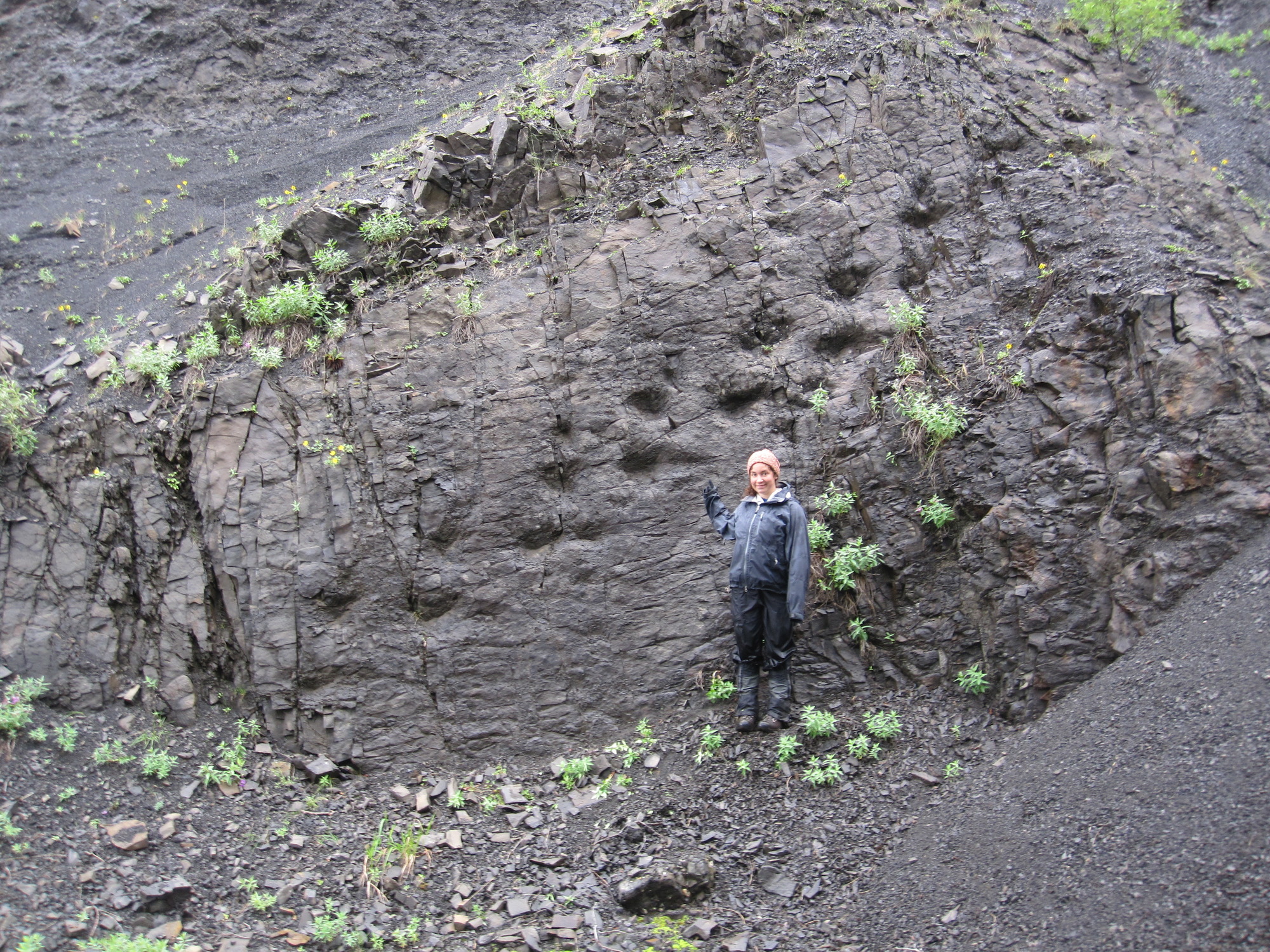 a wide shot of a young woman pointing out a path of large fossil tracks leading up a cliff wall. 
