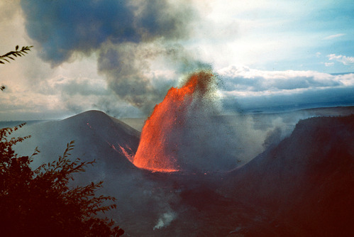 Erupting lava fountain and cinder cone with plants in the foreground