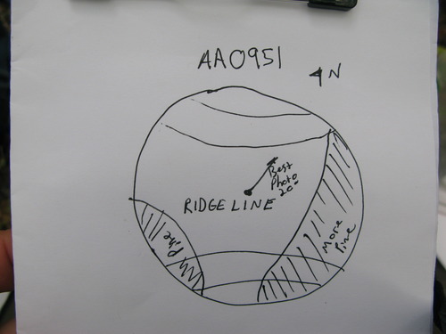 GRSM Accuracy Assessment. Plot Code: GRSM_AA_0951_7
