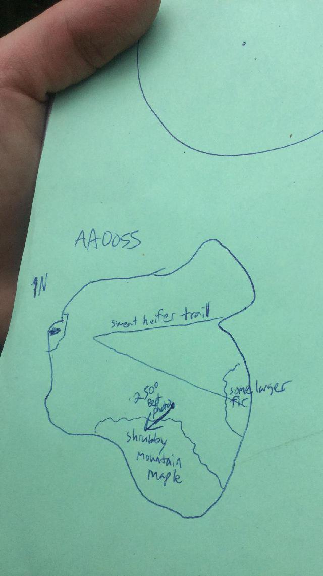 GRSM Accuracy Assessment. Plot Code: GRSM_AA_0055_map
