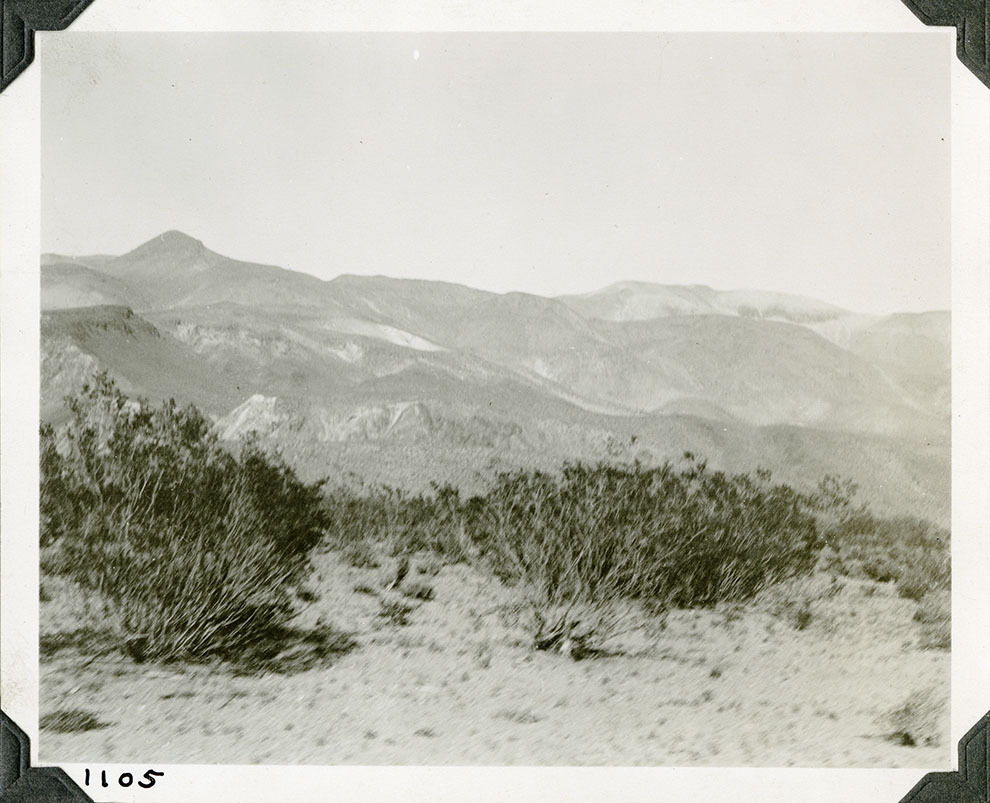This is an historic black and white photograph from the Scotty's Castle Historic Photograph Collection, Death Valley National Park of desert floor with mesquite trees. Rough mountain terrain in background. Number in black ink in lower left corner.