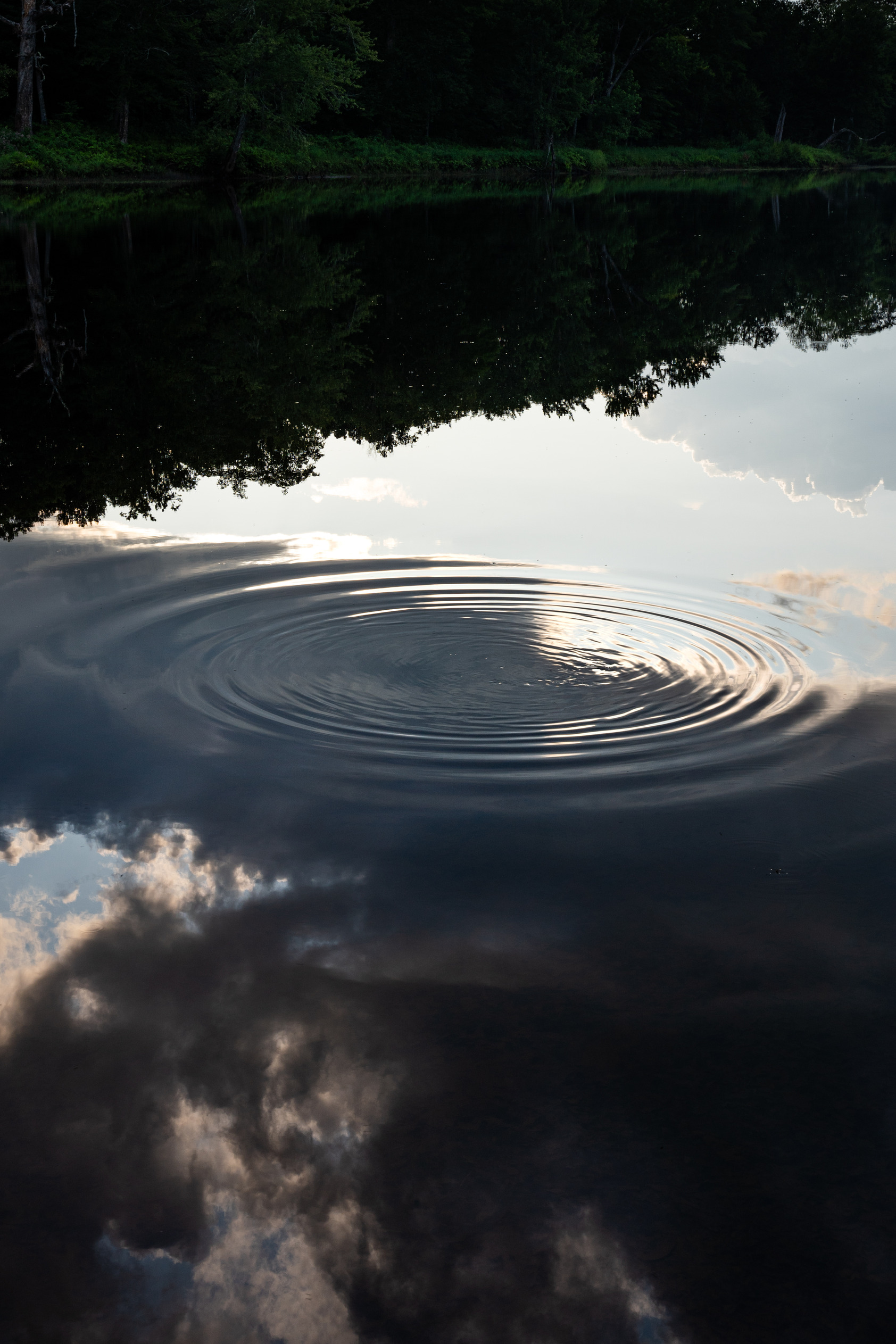 A still river reflects the riverbank's green trees and clouds above. Ripples extend from the middle of the frame out to the sides.