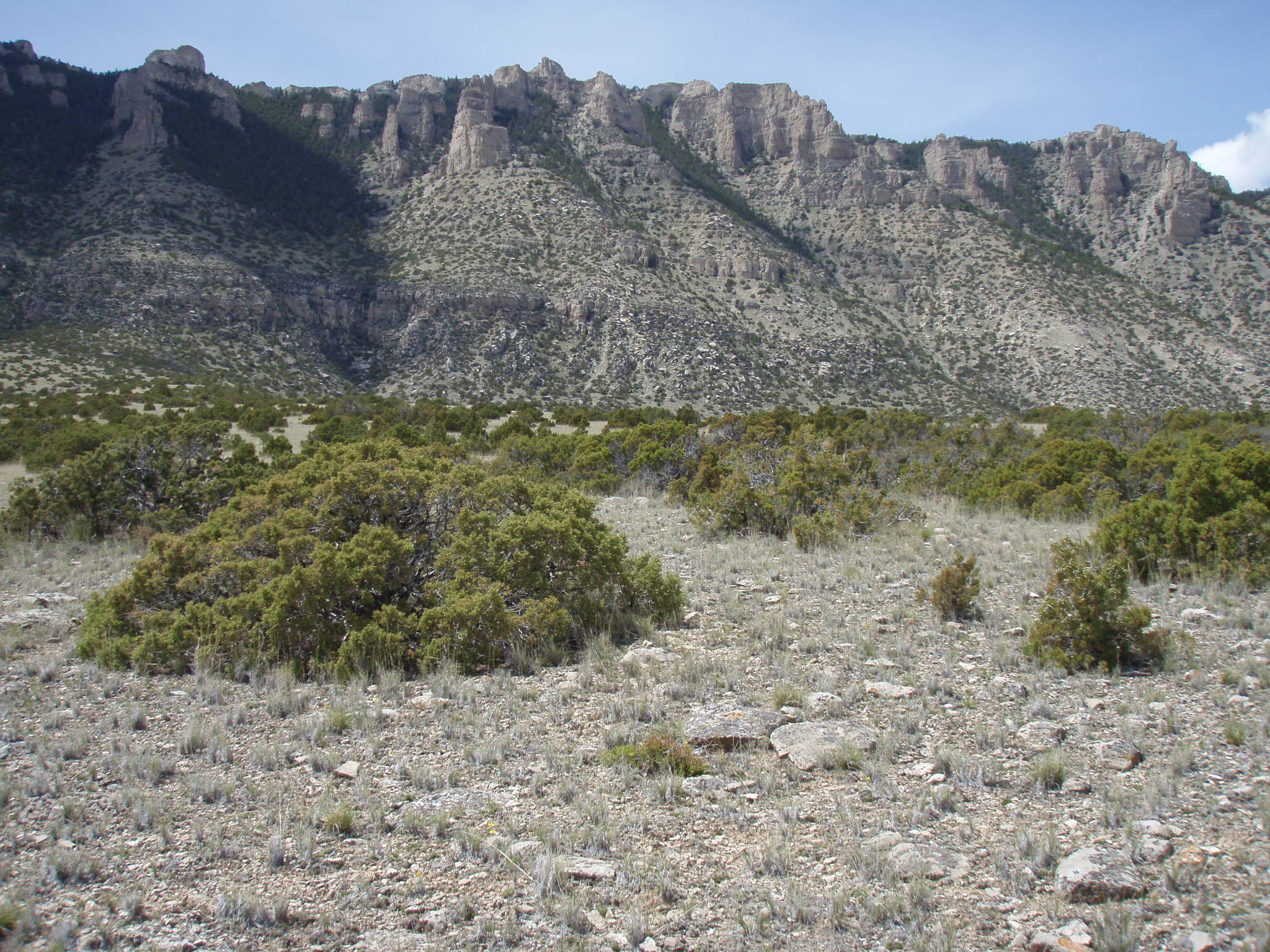Image of the vegetation and landscape at photo point in Bighorn Canyon NRA 