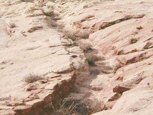Erosion control mechanisms above cliff dwellings following the Long Mesa fire, Mesa Verde National Park