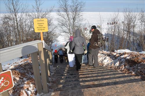 APIS, Meyers Beach Winter & Summer 2014