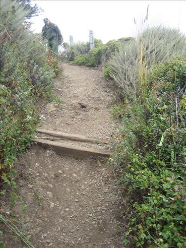 Rec Fee Project: Rehabilitate Notch, Muir Beach Overlook, & Hillside Trails